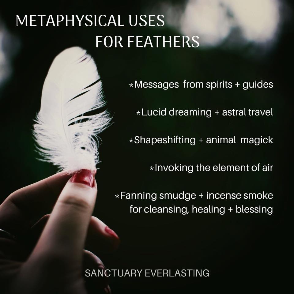 Feather Symbolism and Meaning - Sanctuary Everlasting