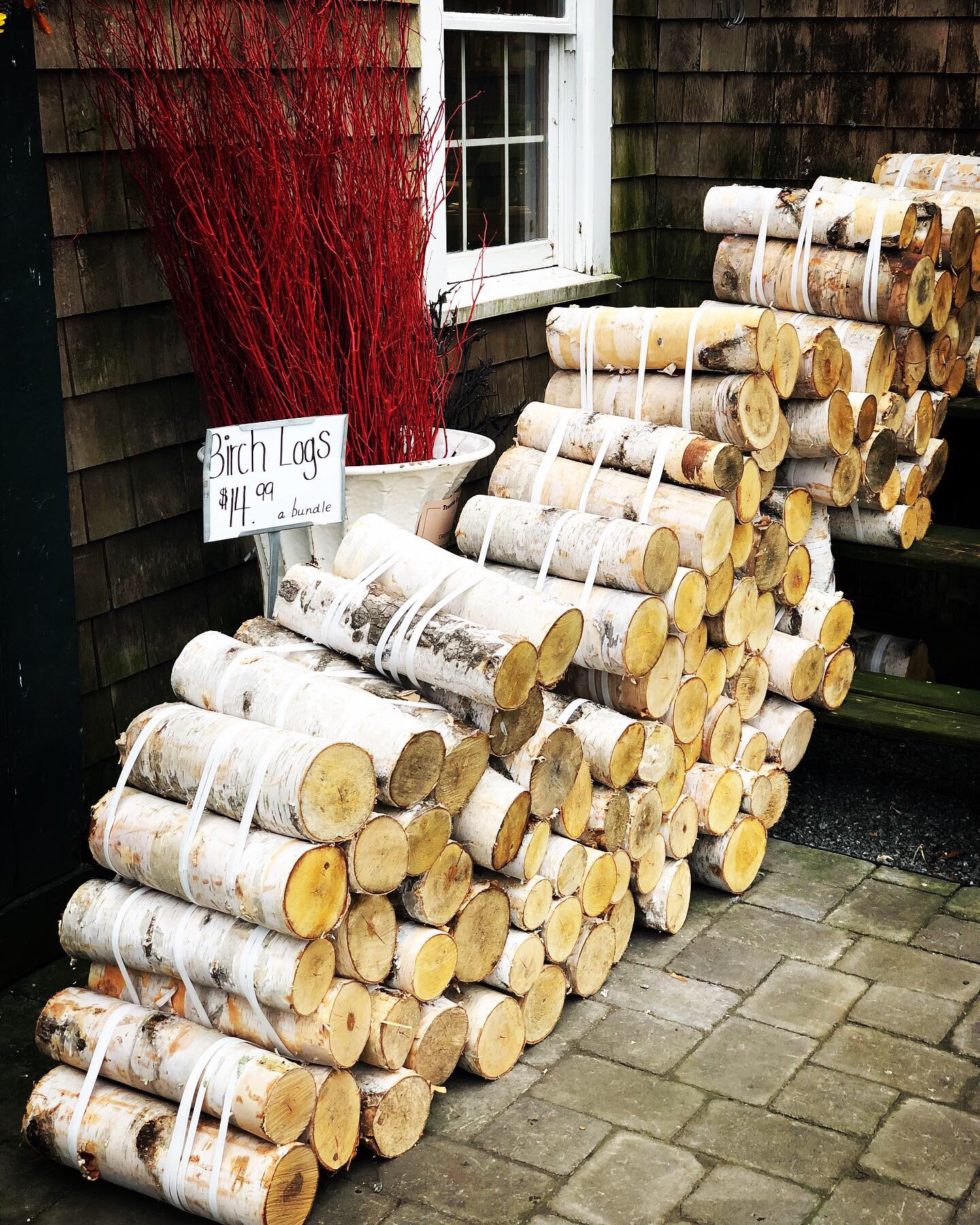 Birch Tree Meaning and Magick Sanctuary Everlasting