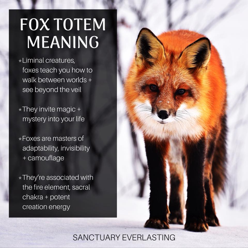 THE SACRED TRICKSTER- TOTEM ANIMAL THE FOX