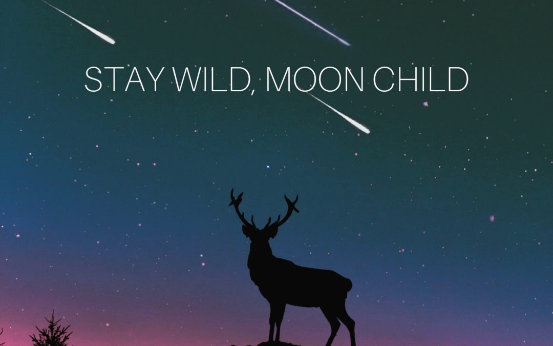 Stay wild moon child sanctuary everlasting stag on hill with full moon