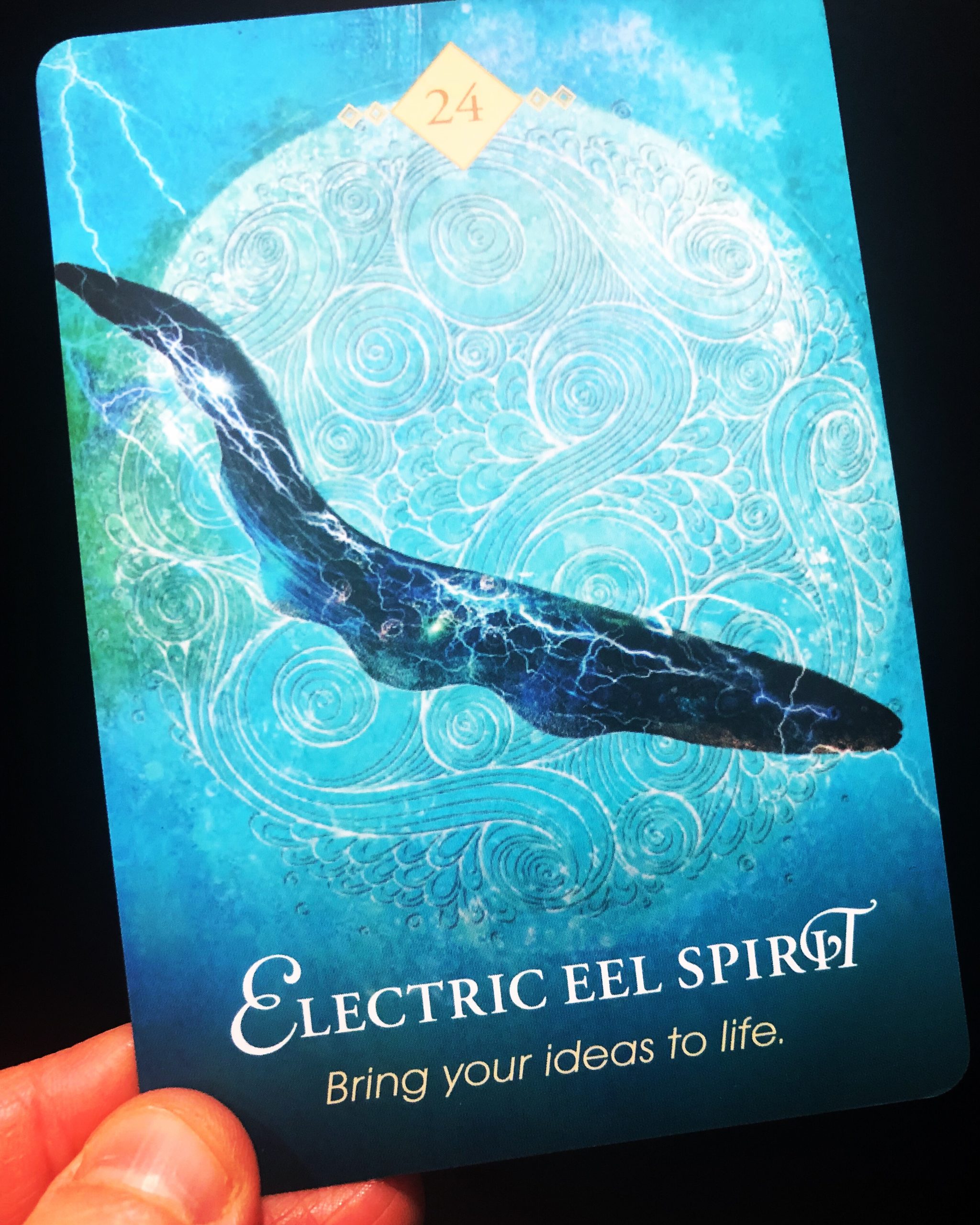 Electric Eel Totem Meaning (Animal Spirit)