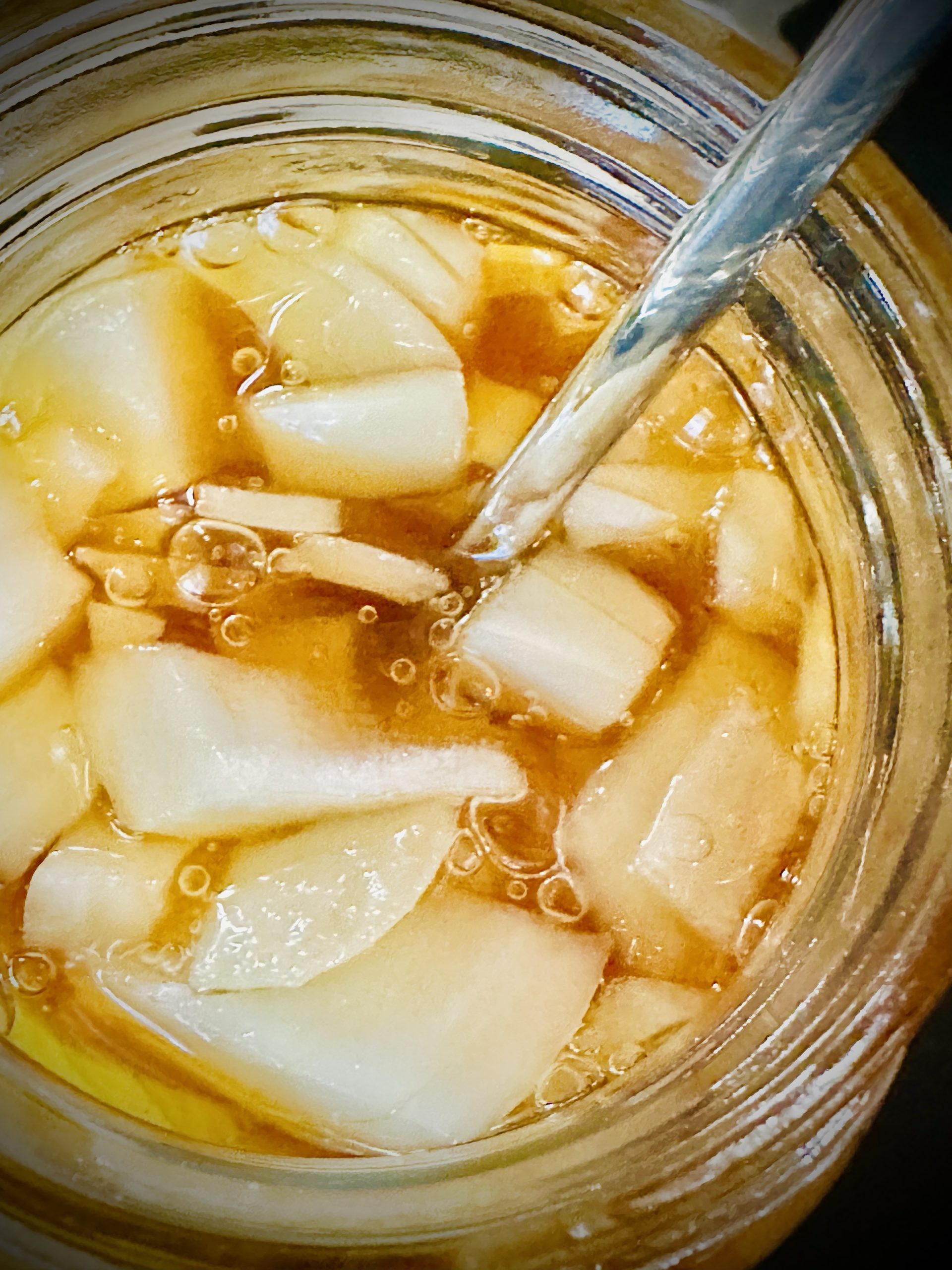 Onion Fermented Honey Sanctuary Everlasting